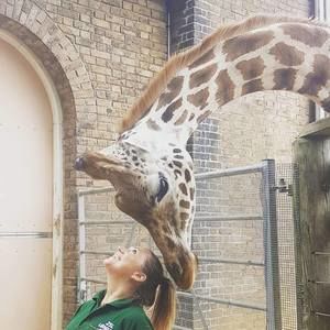 Meet your Posher, Amy